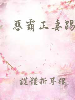 恶霸正妻踢娇妾