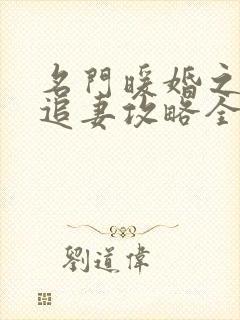 名门暖婚之权爷追妻攻略全文免费阅读