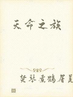 天命之族