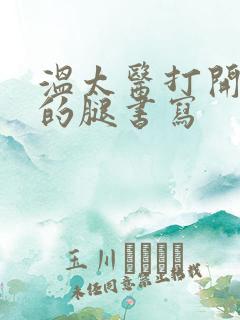 温太医打开眉庄的腿书写