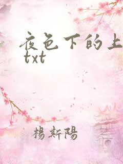 夜色下的上海滩 txt