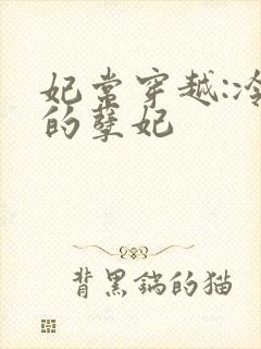 妃常穿越:冷王的孽妃