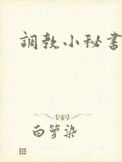 调教小秘书