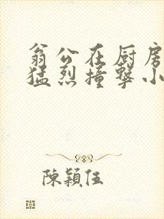 翁公在厨房和我猛烈撞击小说