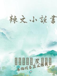 辣文小说书包网