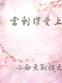 当刺猬爱上玫瑰