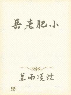 岳老肥小
