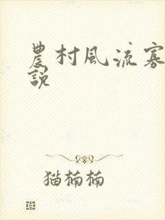 农村风流寡妇小说