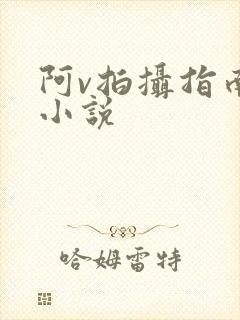 阿v拍摄指南说小说