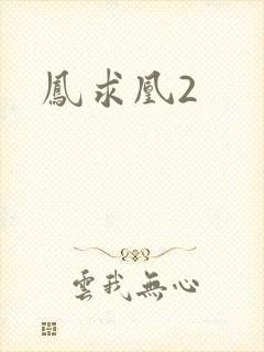 凤求凰2