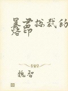 暴君总裁的狂烈烙印