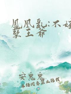 凤凰乱:不嫁妖孽王爷