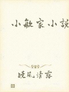 小敏家小说