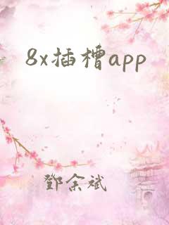 8x插槽app