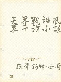天界战神凰九夜慕千汐小说