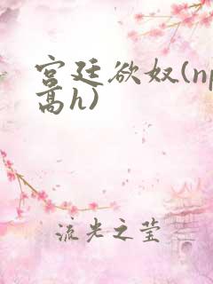 宫廷欲奴(np高h)