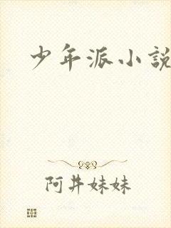 少年派小说