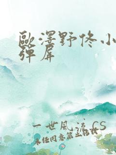 欧泽野佟小曼无弹屏