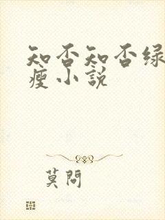 知否知否绿肥红瘦小说