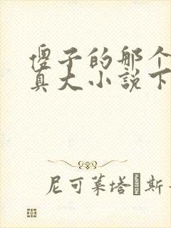 傻子的那个东西真大小说下载