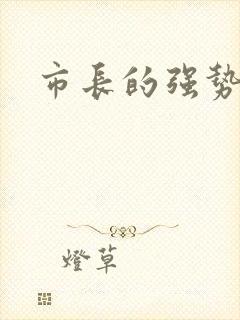 市长的强势老婆