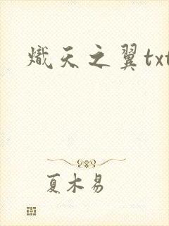 炽天之翼txt