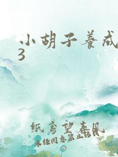 小胡子养成计划3