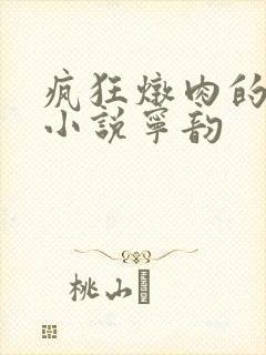 疯狂炖肉的全部小说宁韵