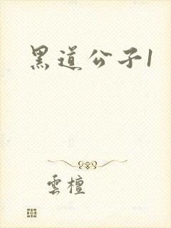 黑道公子1