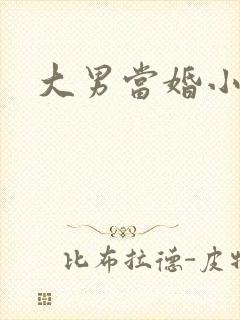 大男当婚小说