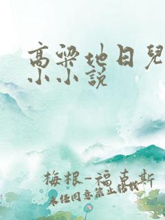 高粱地日儿媳妇小小说