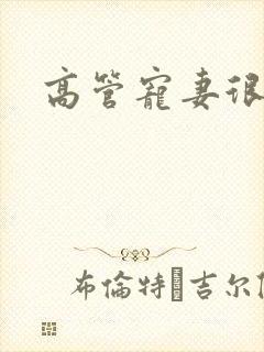 高管宠妻很丰满