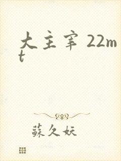 大主宰 22mt