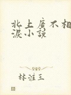 北上广不相信眼泪小说