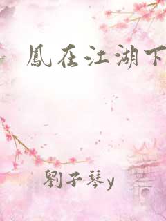 凤在江湖下载