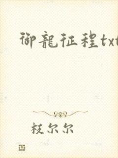 御龙征程txt