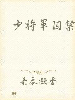 少将军囚禁我