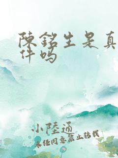 陈铭生是真实事件吗