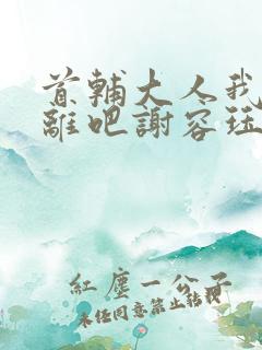 首辅大人我们和离吧谢容珏