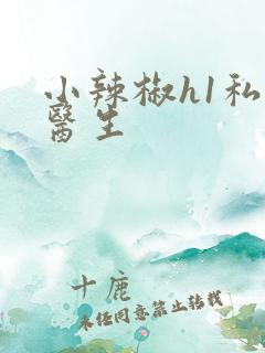 小辣椒h1私人医生