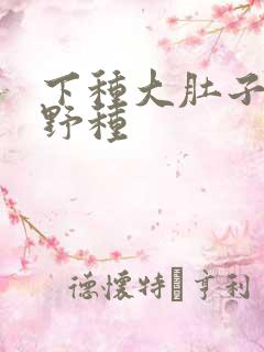 下种大肚子怀孕野种