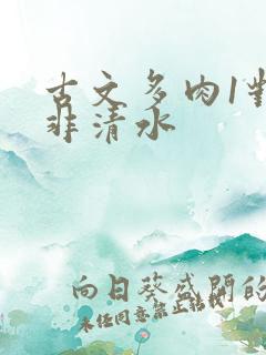 古文多肉1对n非清水