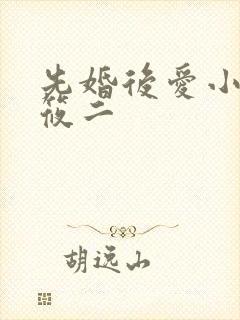 先婚后爱小说梦筱二