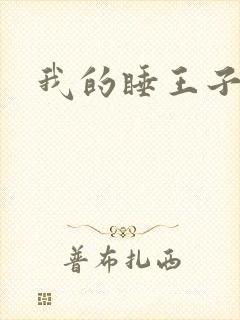 我的睡王子殿下