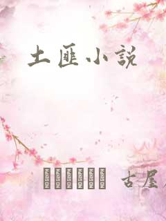 土匪小说