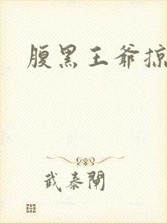 腹黑王爷掠邪妃