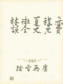 林微夏程亦风小说全文免费