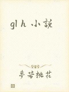 gl h 小说