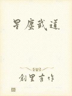 星尘武道
