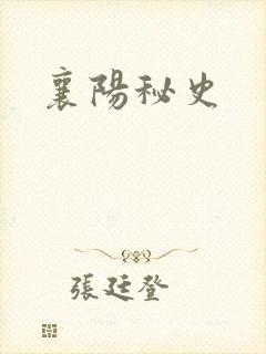 襄阳秘史